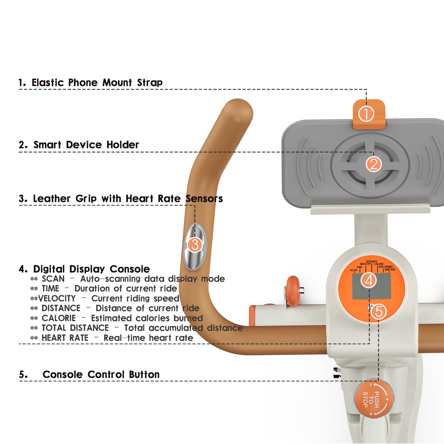 WELLG Exercise Bike, Brake Pad Stationary Bike for Home with Exclusive App, Magnetic Indoor Cycling Bike with 300 lb Weight Capacity, Low Noise, Tablet Holder