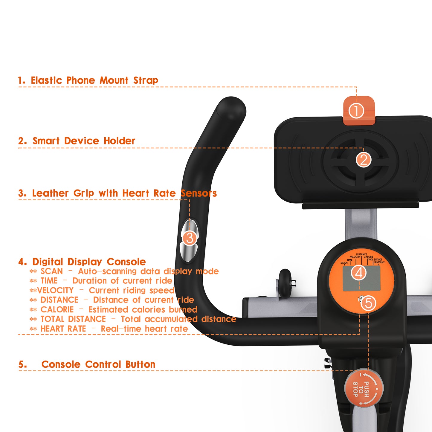 WELLG Exercise Bike WG-521, Brake Pad Stationary Bike for Home with Exclusive App, Magnetic Indoor Cycling Bike with 300 lb Weight Capacity, Low Noise, Tablet Holder